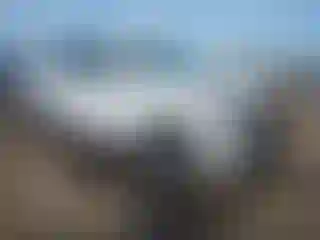 Vehicle Image- 2022 Ford Expedition