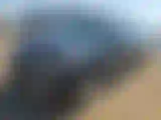 Vehicle Image- 2022 Ford Expedition