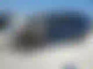 Vehicle Image- 2020 Ford Expedition