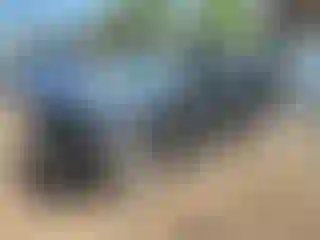 Vehicle Image- 2010 Ford Expedition