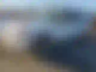 Vehicle Image- 2013 Ford Expedition