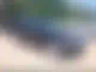 Vehicle Image- 2012 Ford Expedition