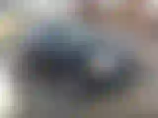 Vehicle Image- 2013 Ford Expedition