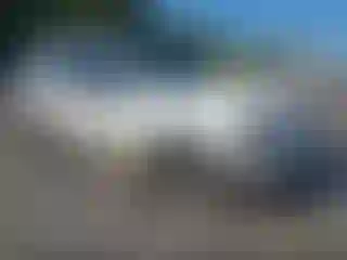 Vehicle Image- 2010 Ford Expedition