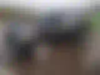 Vehicle Image- 2018 Ford Expedition