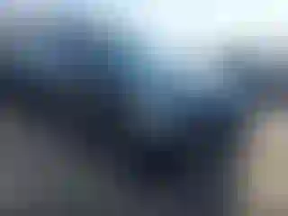 Vehicle Image- 2020 Ford Expedition