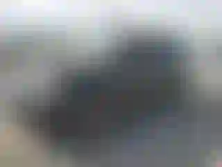 Vehicle Image- 2017 Ford Expedition