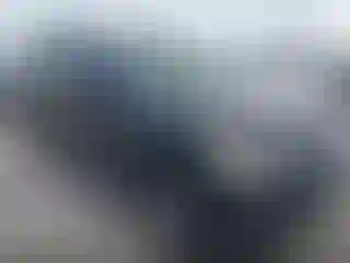 Vehicle Image- 2020 Ford Expedition