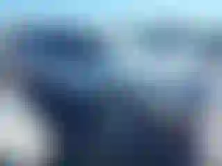 Vehicle Image- 2014 Ford Expedition