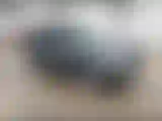 Vehicle Image- 2013 Ford Expedition