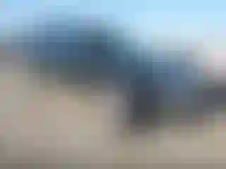 Vehicle Image- 2014 Ford Expedition