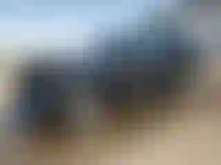 Vehicle Image- 2025 Ford Expedition