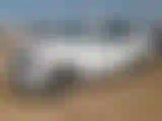 Vehicle Image- 2023 Ford Expedition