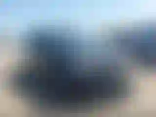 Vehicle Image- 2022 Ford Expedition