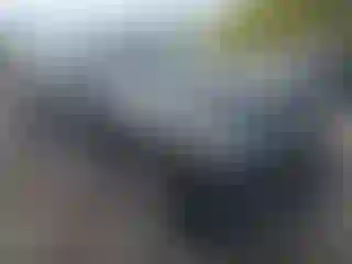 Vehicle Image- 2020 Ford Expedition