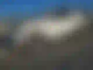 Vehicle Image- 2021 Ford Expedition
