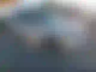 Vehicle Image- 2010 Ford Expedition