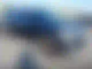 Vehicle Image- 2019 Ford Expedition