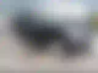 Vehicle Image- 2024 Ford Expedition