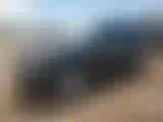 Vehicle Image- 2011 Ford Expedition