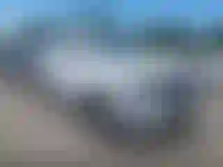 Vehicle Image- 2024 Ford Expedition