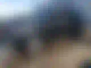 Vehicle Image- 2024 Ford Expedition