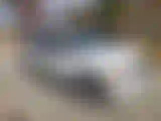 Vehicle Image- 2017 Ford Expedition