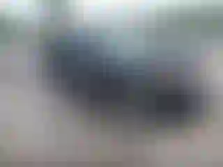 Vehicle Image- 2015 Ford Expedition