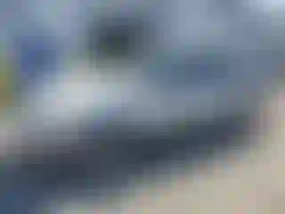Vehicle Image- 2005 Ford Expedition