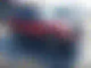 Vehicle Image- 2004 Ford Expedition