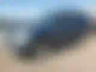Vehicle Image- 2002 Ford Expedition