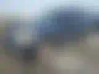 Vehicle Image- 2004 Ford Expedition