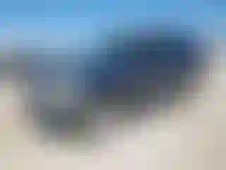 Vehicle Image- 2002 Ford Expedition