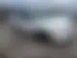 Vehicle Image- 2004 Ford Expedition
