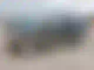 Vehicle Image- 2003 Ford Expedition