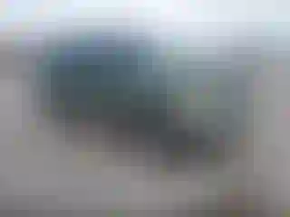 Vehicle Image- 2001 Ford Expedition