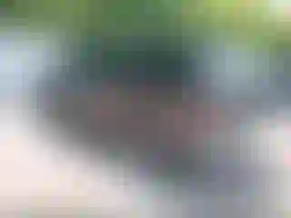 IMPORTOWO.pl