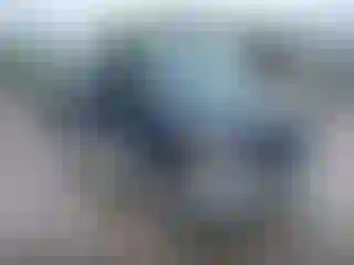 Vehicle Image- 1999 Ford E-Series