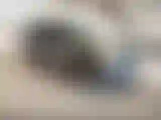 Vehicle Image- 2003 Ford Expedition