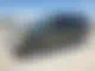 Vehicle Image- 2000 Ford Expedition
