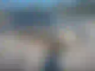 Vehicle Image- 2002 Ford Expedition