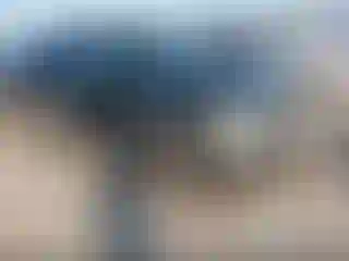 Vehicle Image- 1999 Ford Expedition