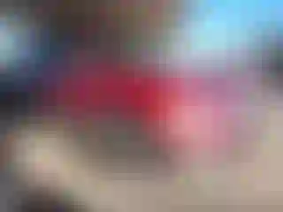 Vehicle Image- 2004 Ford Expedition