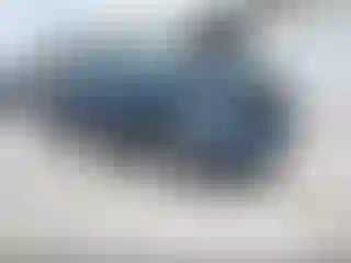 Vehicle Image- 2020 Ford Explorer