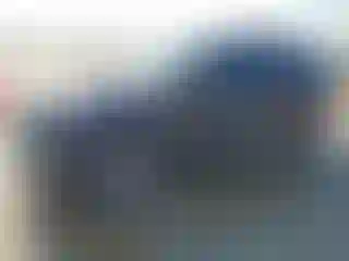 Vehicle Image- 2020 Ford Explorer