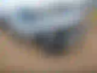 Vehicle Image- 2022 Ford Explorer