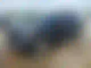 Vehicle Image- 2020 Ford Explorer