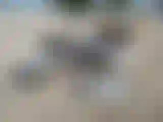 Vehicle Image- 2021 Ford Explorer