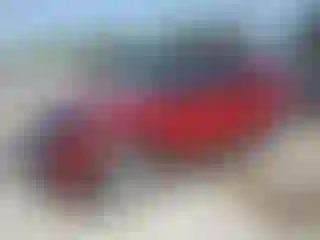Vehicle Image- 2021 Ford Explorer