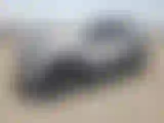 Vehicle Image- 2023 Ford Explorer